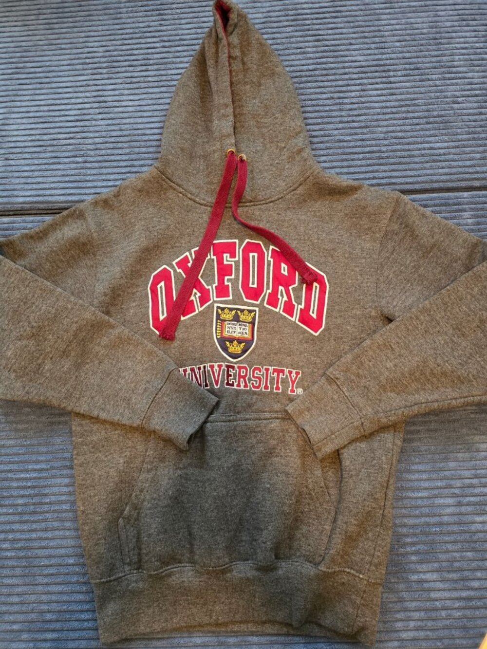 Oxford University Hoodie XS Gray Official Licensed Pullover Sweatshirt Crest Log